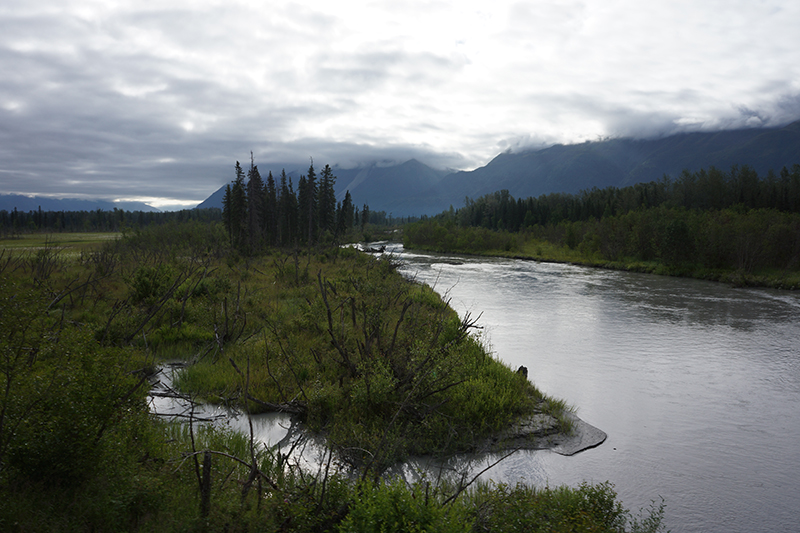 Knik River Near Anchorage DSC08332