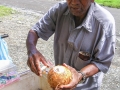 Coconut Vendor - zcosta-ricaIMG_6040