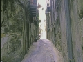 Alley Palermo