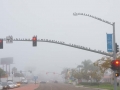 Birds Watching Cars on Rosecrans